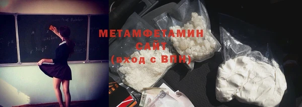 прущие грибы Абаза