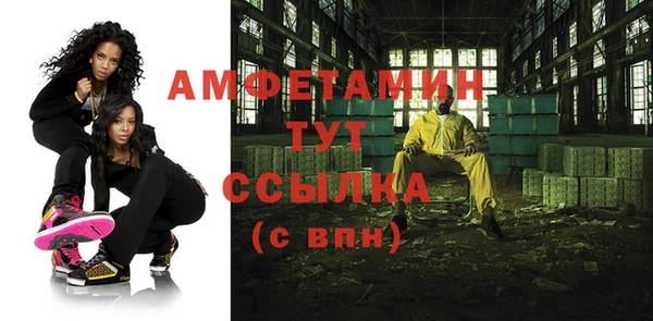 прущие грибы Абаза