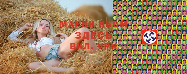 прущие грибы Абаза