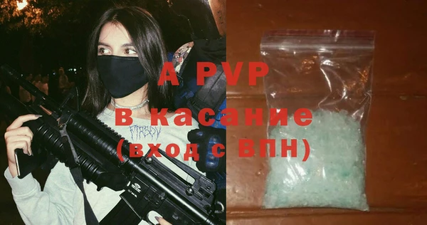 прущие грибы Абаза