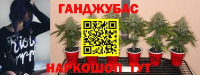 jwh Гусь-Хрустальный