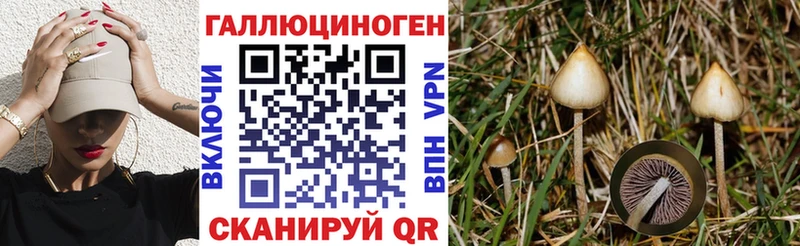 blacksprut как войти  Луга  Псилоцибиновые грибы Psilocybine cubensis  купить  цена 