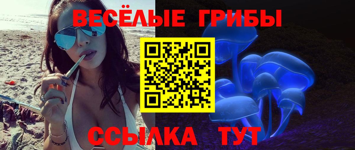 Луга  Псилоцибиновые грибы GOLDEN TEACHER  Вход с VPN  Галлюциногенные грибы мицелий 